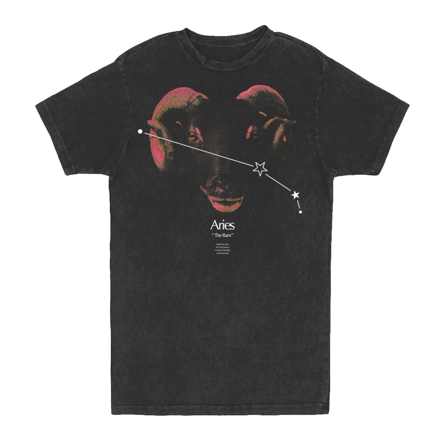 ARIES CONSTELLATION VINTAGE TEE